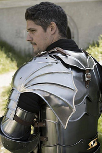 Gothic Gorget & Shoulders