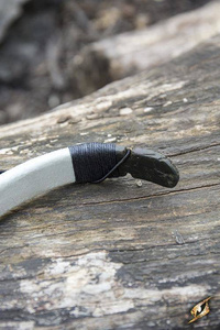 Squire Bow - Grey - M - Łuk larpowy ~25 lbs@28