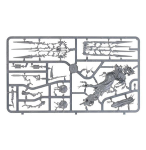 Age of Sigmar: Coven Throne / Mortis Engine