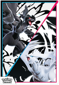 Pokémon TCG: Scarlet & Violet 10,5 - White Flare & Black Bolt - Unova Poster Collection