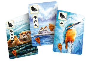 Łąka: Z biegiem strumienia