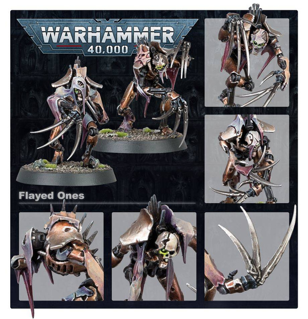 Warhammer 40000: Necrons Flayed Ones