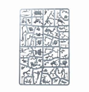 Age of Sigmar: Seraphon Hunters of Huanchi