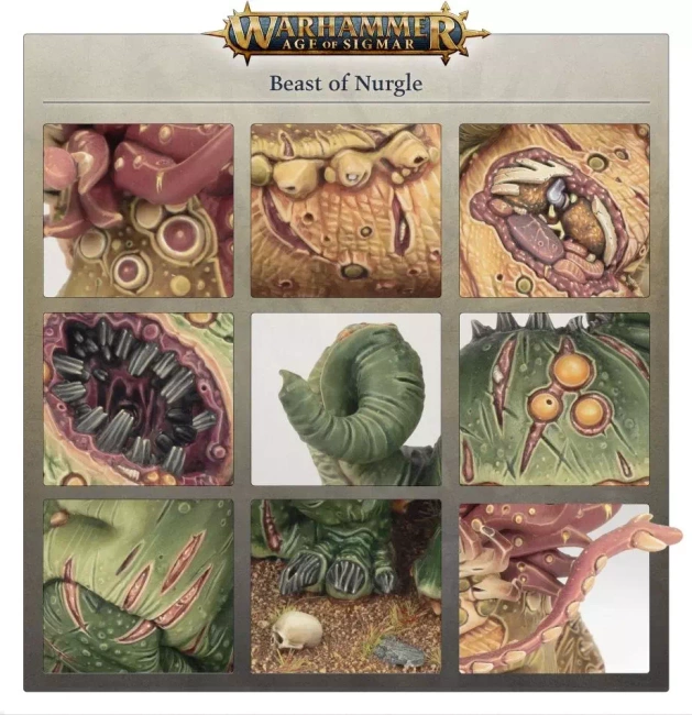Age of Sigmar: Maggotkin of Nurgle Beast of Nurgle