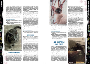 Zew Cthulhu: Kothulhu - Na aksamitnych łapkach po śladach Cthulhu