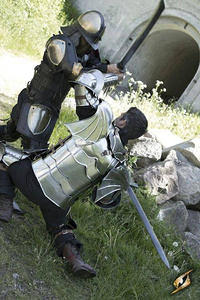 Gothic Gorget & Shoulders