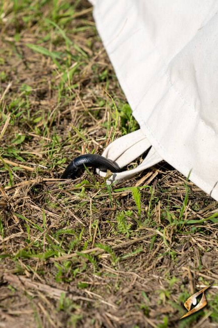 Marquee Tent - 4x6m - Natural - Compact