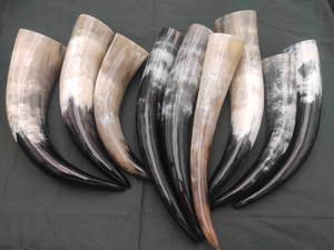 Drinking Horn - róg do picia0,6l