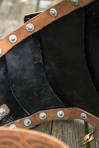 Gut Plate - Polished Steel