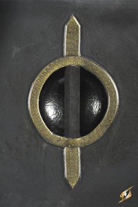 Elliptical Shield Black