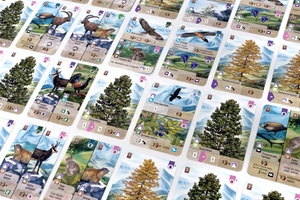 Leśne rozdanie: Alpy