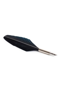 Feather Pen Basic - Cobalt - pióro z atramentem