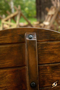 Iarla Shield - Vegvisir - 70 cm