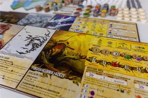 Spirit Island: Rozdarta ziemia