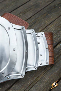 Gut Plate - Polished Steel