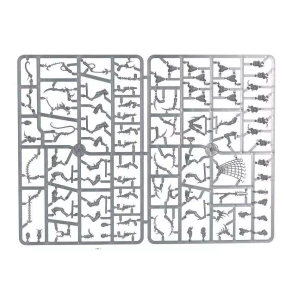 Warhammer 40000: Drukhari Wyches