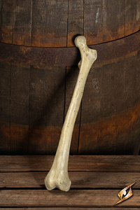 Thigh bone 40 cm - bezpieczna kość