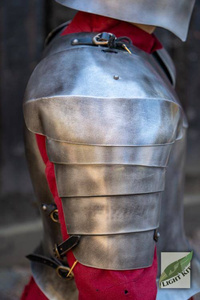 Palace Guard Pauldrons