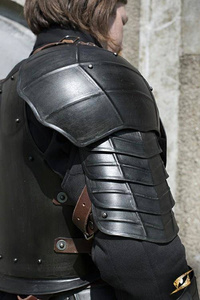 Shoulder Plates Dark Drake