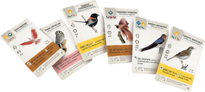 Na skrzydłach: Ptaki Oceanii