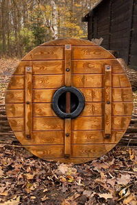 Iarla Shield - Sleipnir - 80 cm