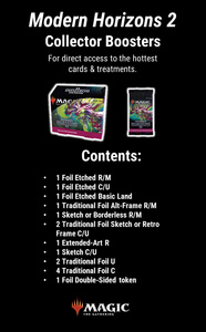 Modern Horizons 2 Collector Booster Box (12 boosterów) (Francuski)