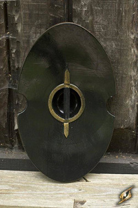 Elliptical Shield Black
