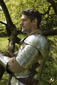 Shoulder Plates Warrior - Polished Steel