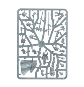 Age of Sigmar: Stormcast Eternals Questor Soulsworn