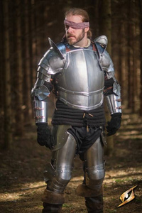 Captain Belt Shields - Polished Steel