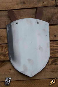 2ndQ. Basic Belt Shields - Polished Steel