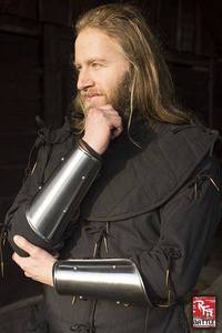 RFB Arm Protection - Polished Steel