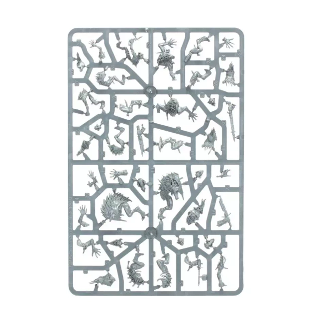 Warcry: Royal Beastflayers