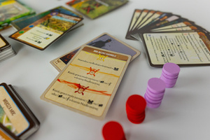 Spirit Island (Edycja Polska)