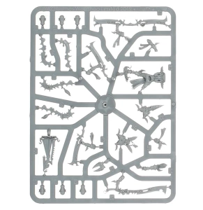 Warhammer 40000: Drukhari Incubi