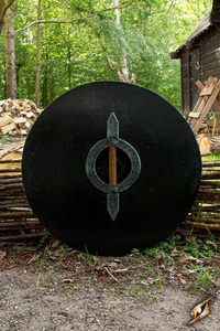 Drang Shield - Wood - 70 cm