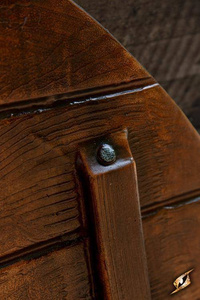 Iarla Shield - Vegvisir - 80 cm