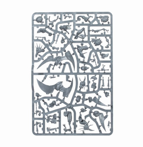 Age of Sigmar: Seraphon Hunters of Huanchi