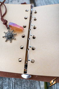 Sailor's Diary - Brown