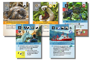 Ark Nova Wodny Świat