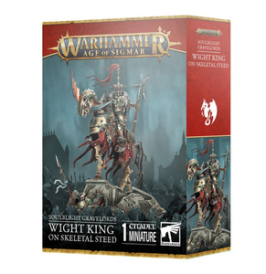 Age of Sigmar: Soulblight Gravelords Wight King/Lord on Skeletal Steed
