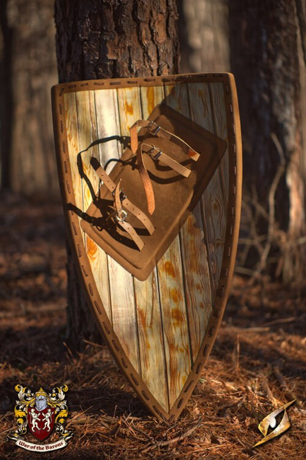 Baron's Shield - 90x55 cm