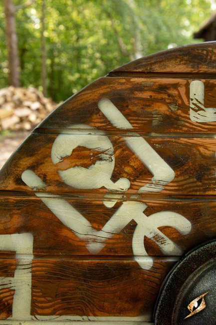 Iarla Shield - Vegvisir - 70 cm