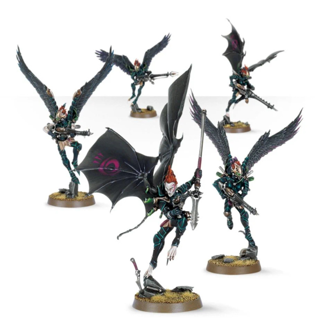 Warhammer 40000: Drukhari Scourges