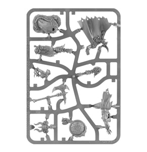 Age of Sigmar: Slaves to Darkness Darkoath Warqueen Marakarr Blood-sky