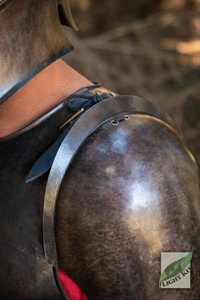 Spartan Pauldrons
