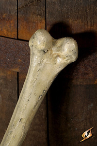 Thigh bone 40 cm - bezpieczna kość