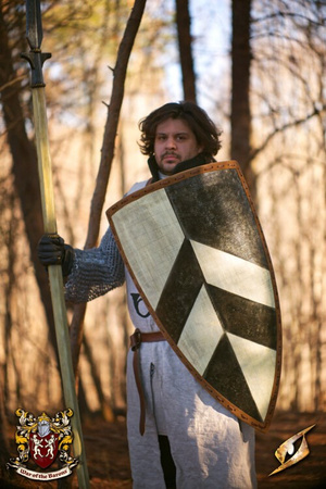 Baron's Shield - 90x55 cm