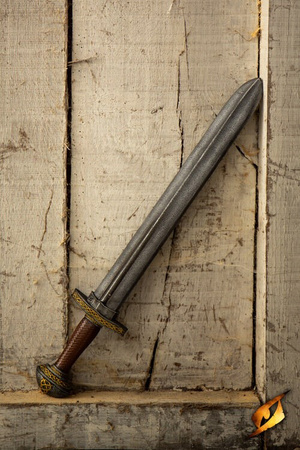 Jarl Sword - Vanguard - 60 cm