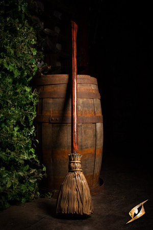 Broomstick - bezpieczna miotła